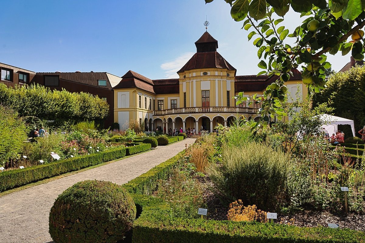Arzneipflanzengarten