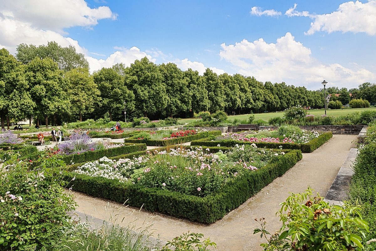 Rosengarten im Klenzepark
